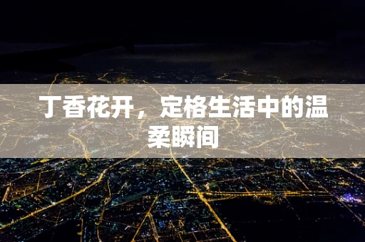 丁香花开，定格生活中的温柔瞬间