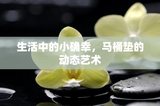 生活中的小确幸，马桶垫的动态艺术
