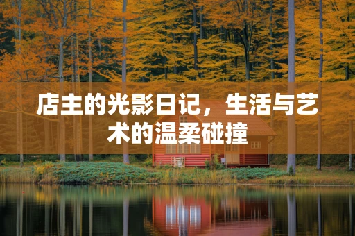 店主的光影日记，生活与艺术的温柔碰撞