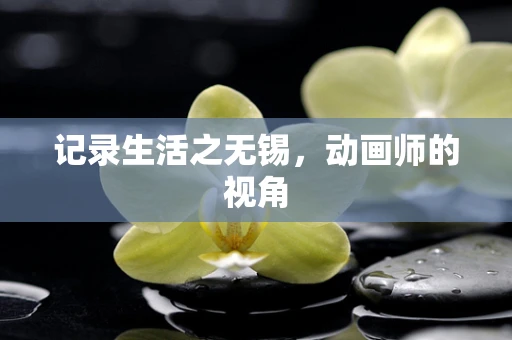 记录生活之无锡，动画师的视角