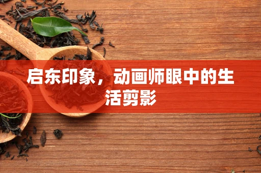 启东印象，动画师眼中的生活剪影