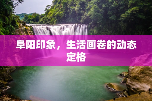 阜阳印象，生活画卷的动态定格