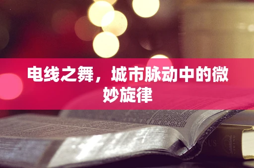 电线之舞，城市脉动中的微妙旋律
