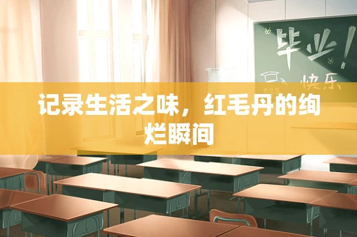 记录生活之味，红毛丹的绚烂瞬间