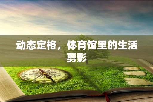 动态定格，体育馆里的生活剪影
