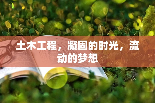土木工程，凝固的时光，流动的梦想