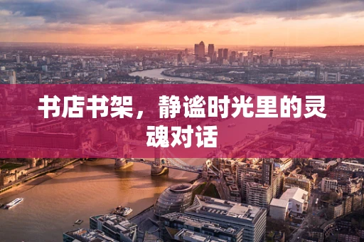 书店书架，静谧时光里的灵魂对话
