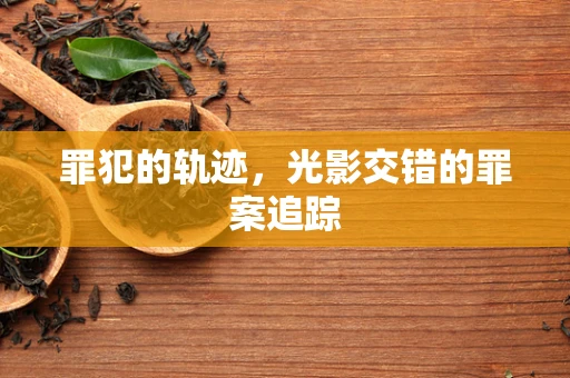 罪犯的轨迹，光影交错的罪案追踪