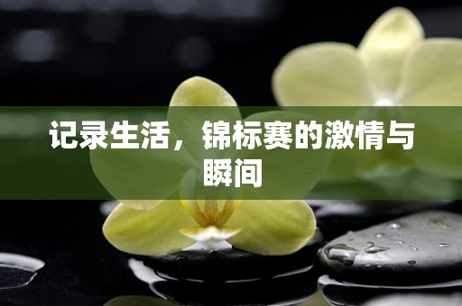 记录生活，锦标赛的激情与瞬间