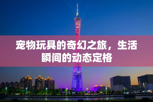 宠物玩具的奇幻之旅，生活瞬间的动态定格