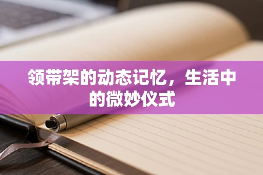 领带架的动态记忆，生活中的微妙仪式