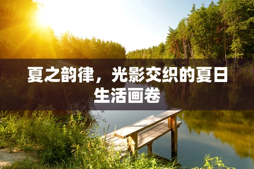夏之韵律，光影交织的夏日生活画卷