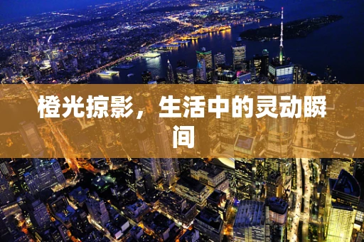 橙光掠影，生活中的灵动瞬间