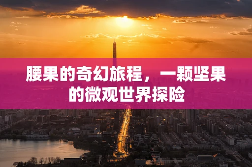 腰果的奇幻旅程，一颗坚果的微观世界探险