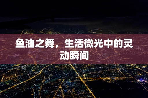 鱼油之舞，生活微光中的灵动瞬间