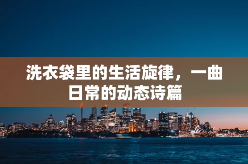 洗衣袋里的生活旋律，一曲日常的动态诗篇