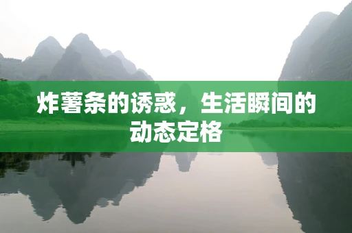 炸薯条的诱惑，生活瞬间的动态定格
