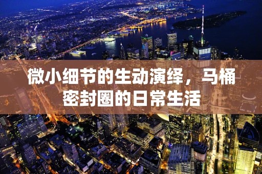 微小细节的生动演绎，马桶密封圈的日常生活