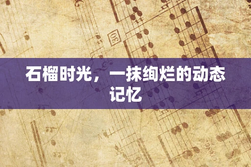 石榴时光，一抹绚烂的动态记忆