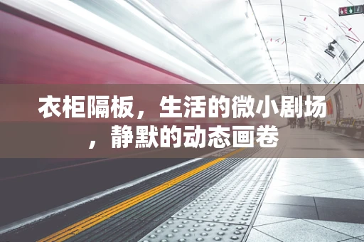 衣柜隔板，生活的微小剧场，静默的动态画卷
