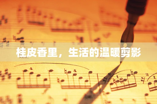 桂皮香里，生活的温暖剪影