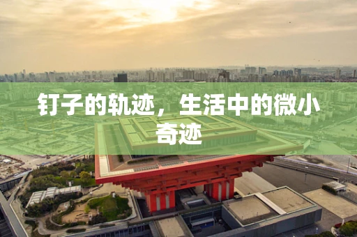 钉子的轨迹，生活中的微小奇迹