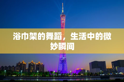 浴巾架的舞蹈，生活中的微妙瞬间