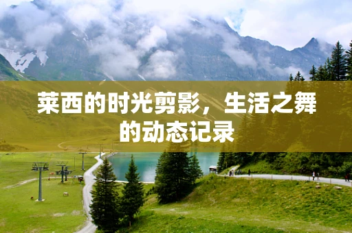 莱西的时光剪影，生活之舞的动态记录