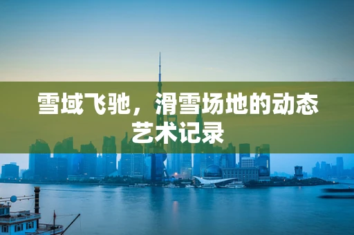 雪域飞驰，滑雪场地的动态艺术记录