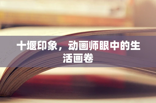 十堰印象，动画师眼中的生活画卷