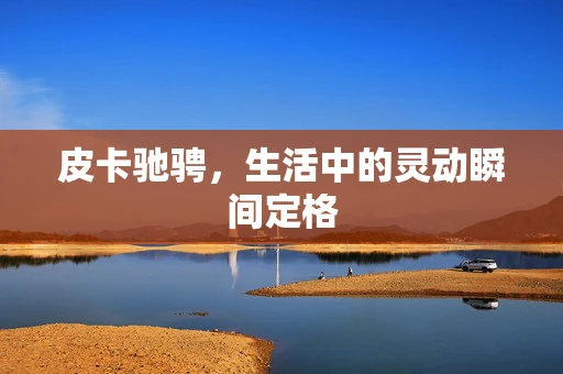 皮卡驰骋，生活中的灵动瞬间定格