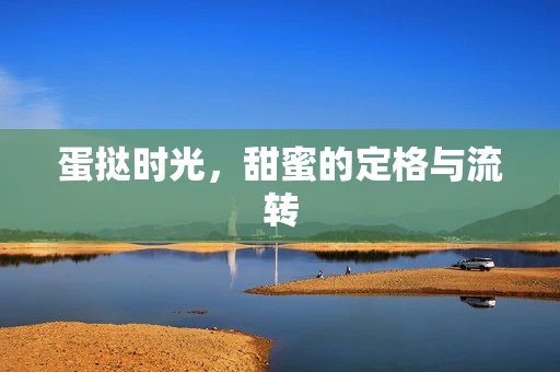 蛋挞时光，甜蜜的定格与流转