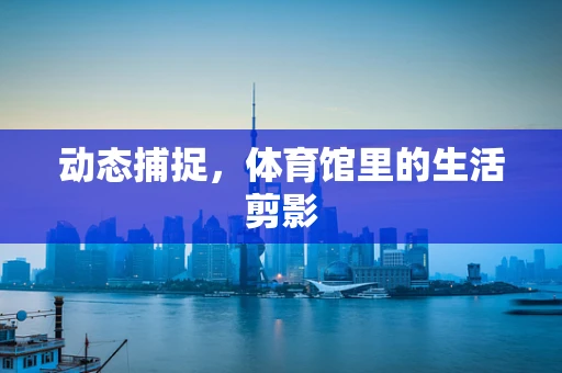 动态捕捉，体育馆里的生活剪影