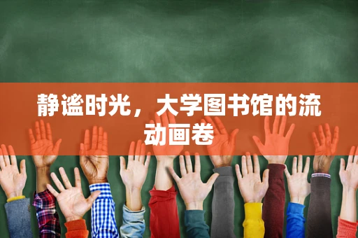 静谧时光，大学图书馆的流动画卷