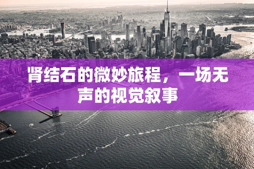 肾结石的微妙旅程，一场无声的视觉叙事