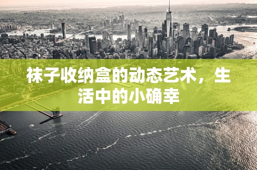 袜子收纳盒的动态艺术，生活中的小确幸
