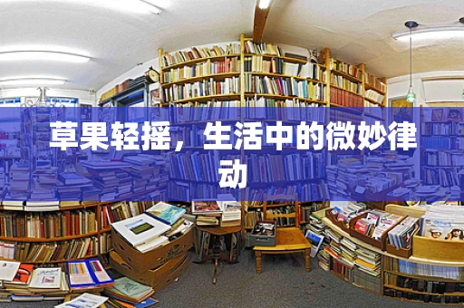 草果轻摇，生活中的微妙律动