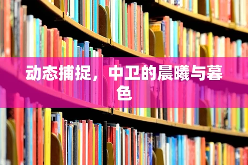 动态捕捉，中卫的晨曦与暮色