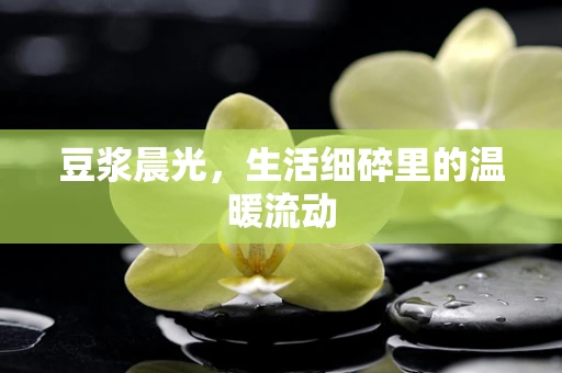 豆浆晨光，生活细碎里的温暖流动