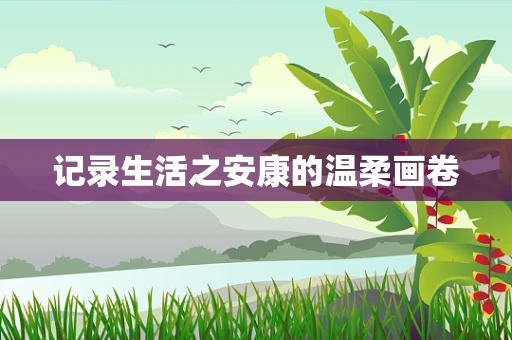 记录生活之安康的温柔画卷