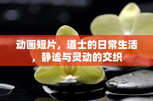 动画短片，道士的日常生活，静谧与灵动的交织