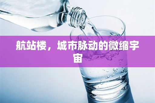 航站楼，城市脉动的微缩宇宙