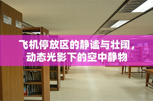 飞机停放区的静谧与壮阔，动态光影下的空中静物