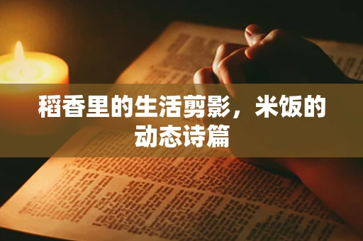 稻香里的生活剪影，米饭的动态诗篇