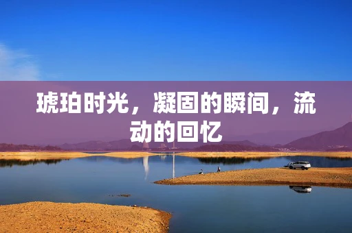 琥珀时光，凝固的瞬间，流动的回忆