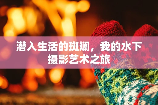 潜入生活的斑斓，我的水下摄影艺术之旅