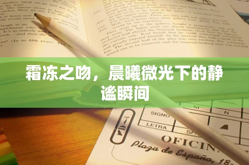 霜冻之吻，晨曦微光下的静谧瞬间