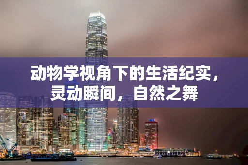 动物学视角下的生活纪实，灵动瞬间，自然之舞