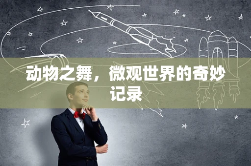 动物之舞，微观世界的奇妙记录
