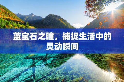蓝宝石之瞳，捕捉生活中的灵动瞬间